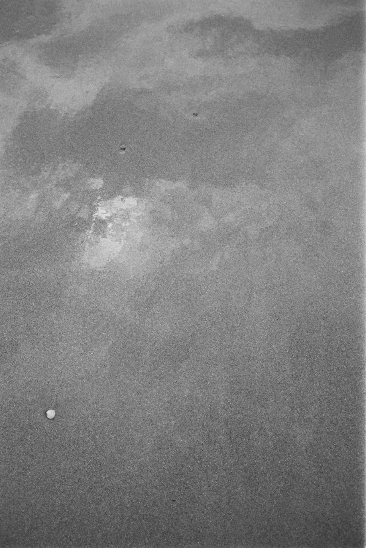 bw